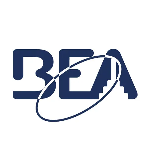 BEA 10MATRIXD1224 Dual Channel Loop Detector