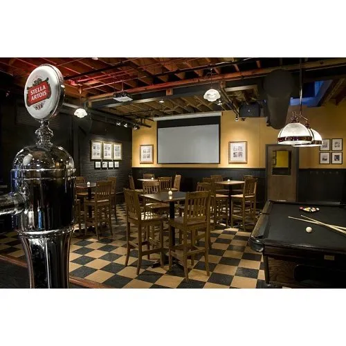 Draper 116022 Targa 133" Electric Projection Screen, Matt White