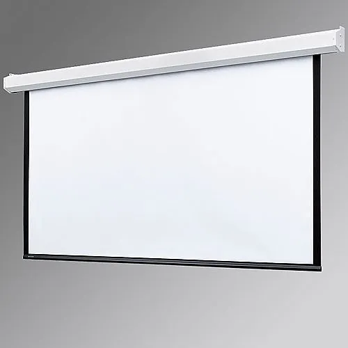 Draper 116022U Targa 133 in. Electric Projection Screen with Low Voltage Motor, Matt White
