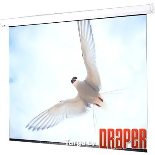 Draper 116530U Targa 113" Electric Projection Screen