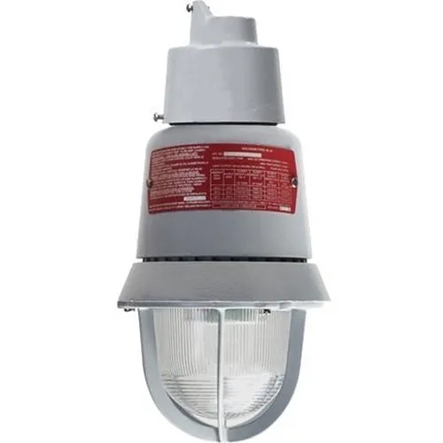 Edwards Signaling 116EXMLEDA-AQ 116 Class LED Lights Explosionproof LED light, 24V AC/DC, Amber