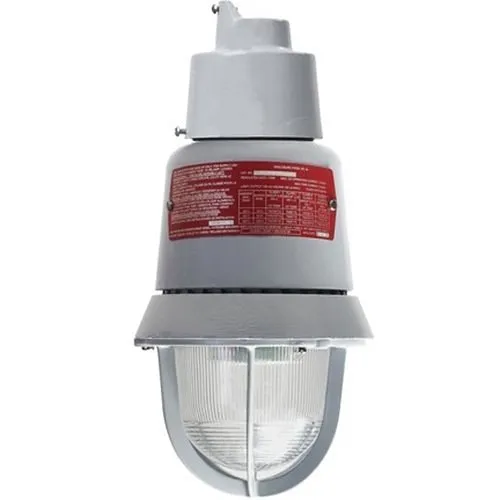 Edwards Signaling 116EXMLEDR-AQ Explosion Proof LED Light, 24VAC/DC, Red