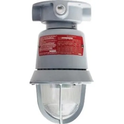 Edwards Signaling 116 Class Explosion Proof Multi-Mode LED Beacon, 24V AC/DC, Marine Rated, White LEDs with Clear Lens