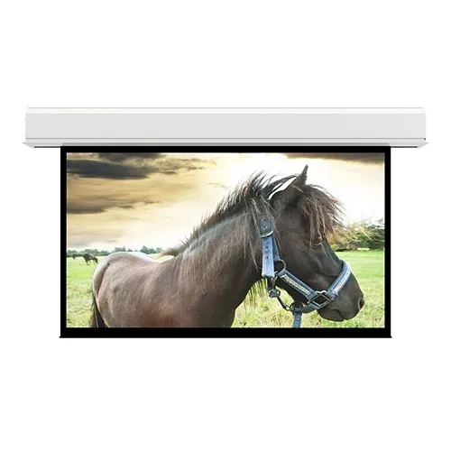 Da-Lite 14199L Advantage Electric Projection Screen, Ceiling Recessed Electric Screen with Plenum-Rated Case and Trim, 16:9 HDTV, Matte White Non Tensioned, 120V, Slot, 298" Screen, TAA Compliant