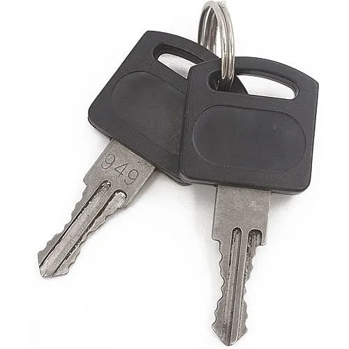 Linear 222343 Replacement Key for AE500 AE100 AE1000 AE2000