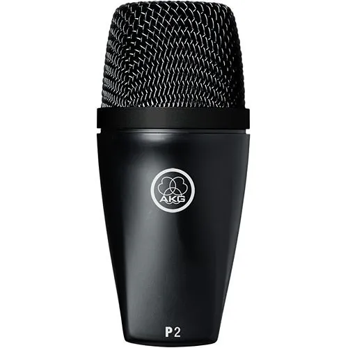 AKG P2 High-Performance Dynamic Bass Microphone