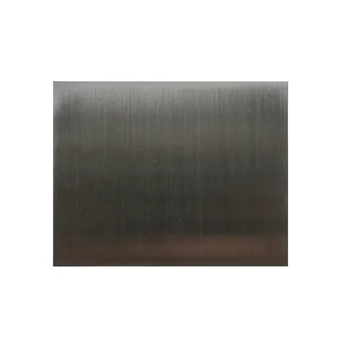 DoorBird 423866577 Engravable Stainless Steel Panel for D2101FPBX, Brushed, Silver (D210)