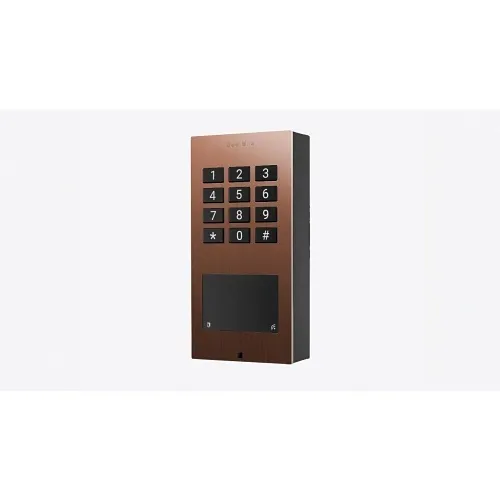 DoorBird 423872042 A1121 Surface-Mount IP Access Control Device, Bronze