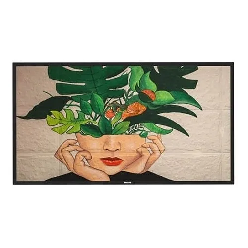 Philips 43BDL4511D/27 D-Line Series 43" Professional 4K UHD Display