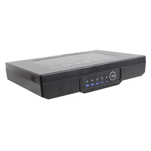 Tempo 52080292 915FS FSP200 Battery