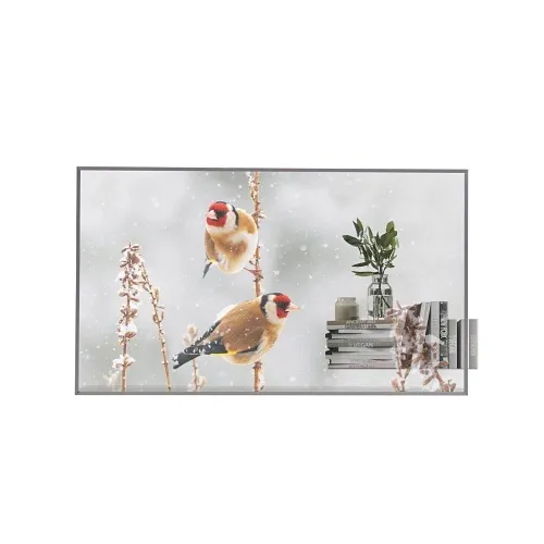 LG Pro 55EW5P-M Transparent OLED Signage Commercial Display, 55"