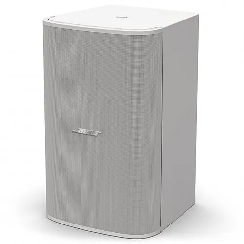Bose Professional DesignMax DM10S-SUB 10 in. Surface Mount Subwoofer, 300W, White