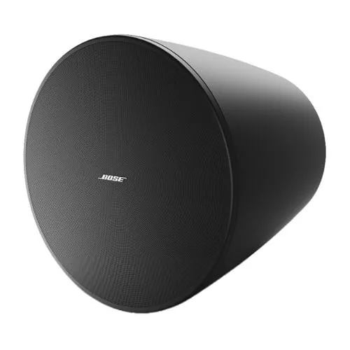 Bose Professional 835265-0120 DesignMax DM10P-SUB 10" Pendant Subwoofer, Indoor, 300W, Black
