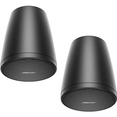 Bose Professional 841153-0320 FreeSpace FS2P Pendant-Mount Loudspeakers, Black