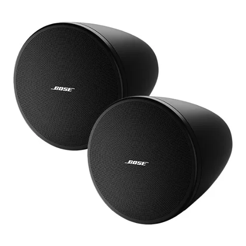 Bose Professional 841166-0120 DesignMax DM5P Loudspeakers, 1-Pair, Black