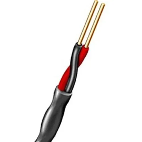 Aiphone 851602DBW10C 2-Conductor, 16AWG, Direct Burial with Water Block Tape, Low-Cap Wire, 1000'