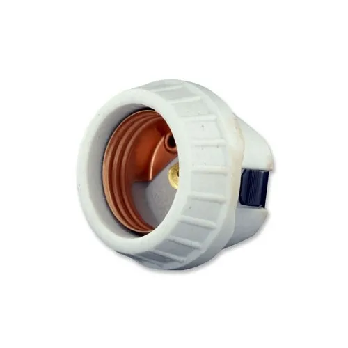 Leviton 8875 Medium Base Keyless Incandescent Lampholder, One-Piece, Unglazed Porcelain , Front Mount, Single Circuit, Back Wired, Shallow Back, White