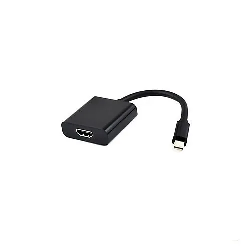 Weltron 91-724 Display Port to HDMI Cable, Mini Display Port to HDMI Adapter
