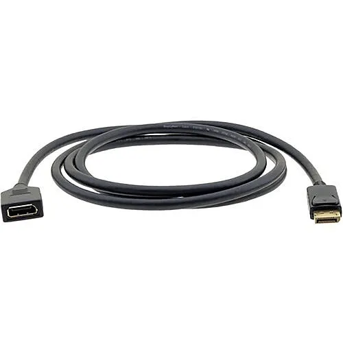 Kramer C-DPM/DPF-6 DisplayPort M to DisplayPort F Cable, 6'