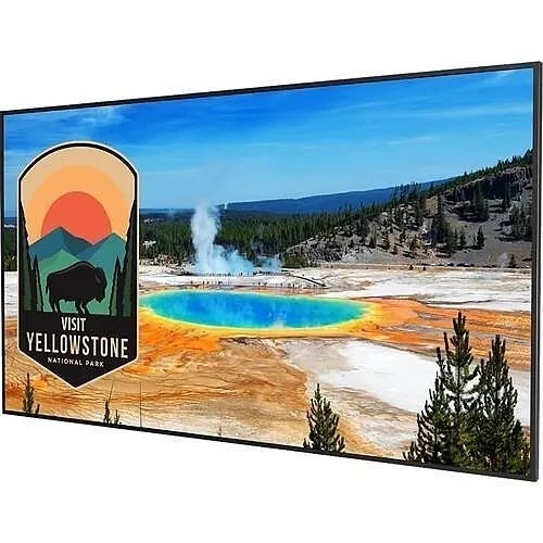 Planar 998-2763-01 50" 4K LCD Display with Media Playback