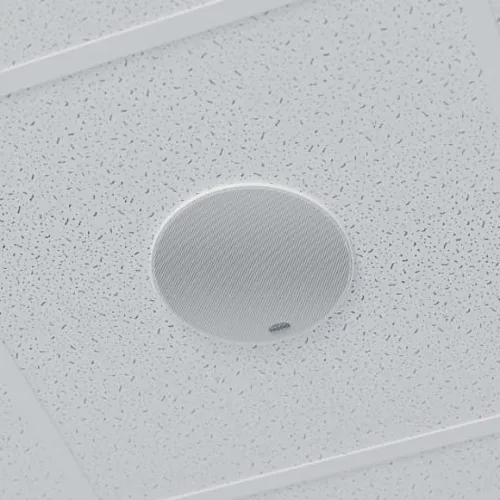 Image of MV-999866500