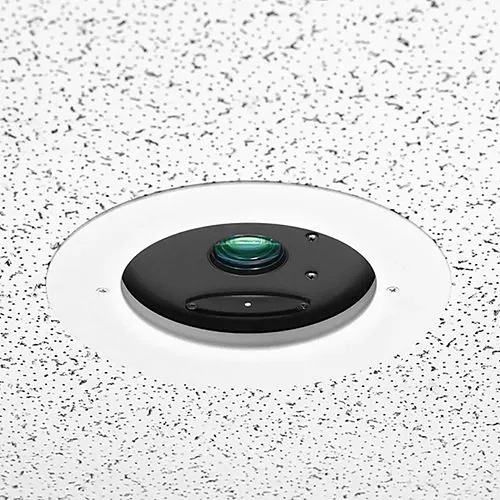 Image of MV-999996800