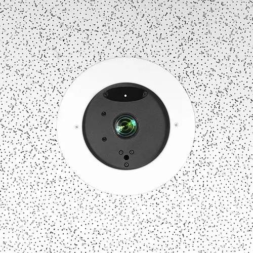 Image of MV-999996800