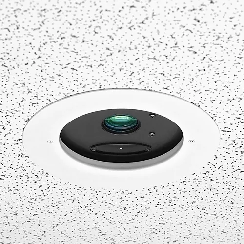 Image of MV-999996830