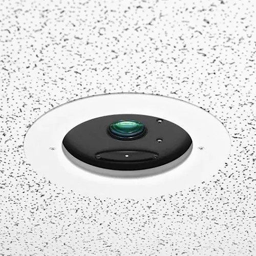 Image of MV-996837370