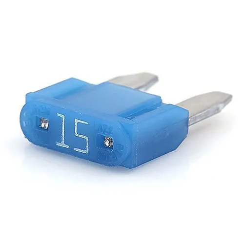 LifeSafety Power A05-205 15A Fuse, 25-Pack