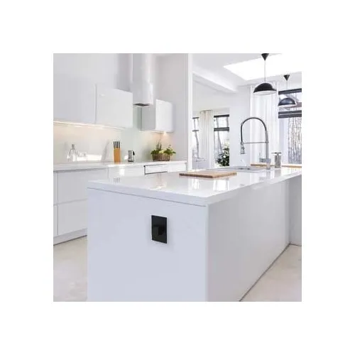 Image of H4-RPTR20GG2