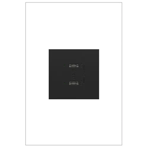 Pass & Seymour ARUSB30PDG4 6A 30W USB-PD Type C/C, Graphite