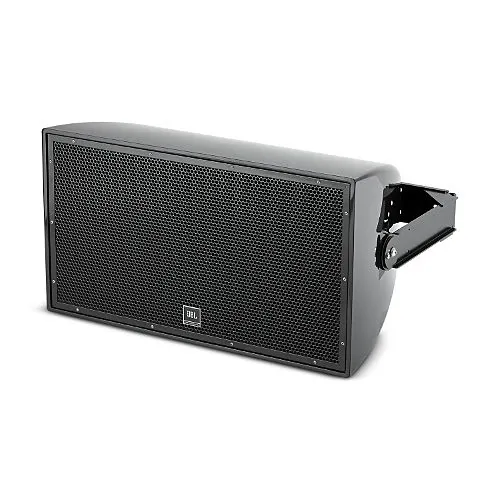 JBL Professional AW295-BK Speaker, High Output 12" 2-Way Full-Range Loudspeaker, System, Black