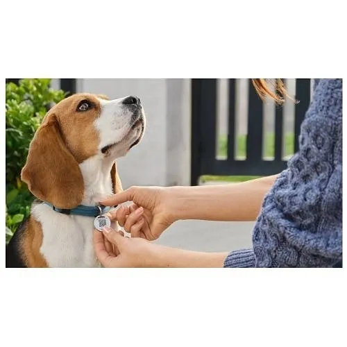 Image of 7G-B0BLXHWPL