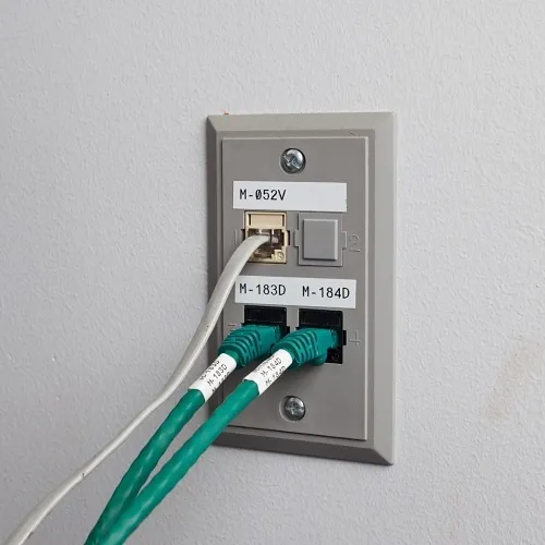 Image of WB-B33116427