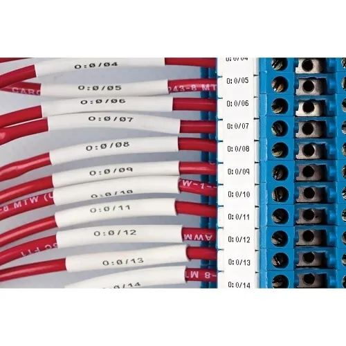 Image of WB-B33D10002