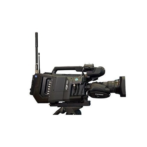 Grass Valley 9-0110000110-9 Perpetual Native IP Option