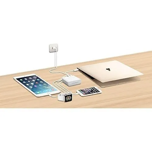 Image of 1S-CAUSBDCS1