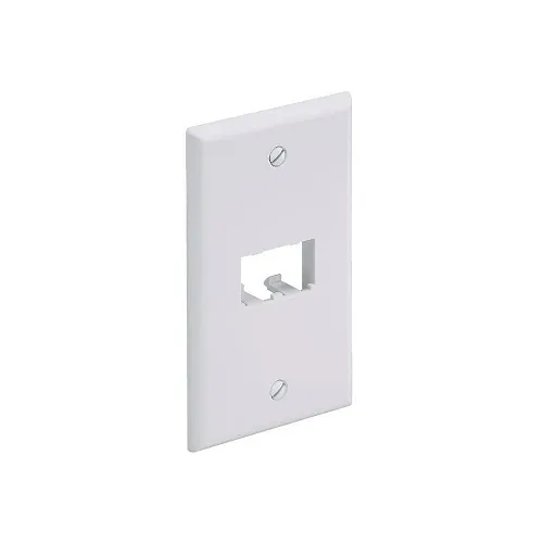 Panduit CFP2WH Wall Plate