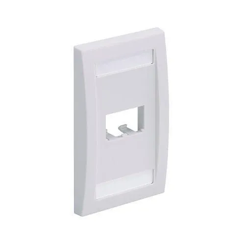 Panduit CFPE2WHY Wall Plate