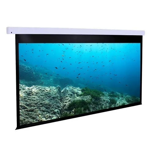 Dragonfly DFM-NTT-120-MW  120" Motorized Matte White Projection Screen (16:9)