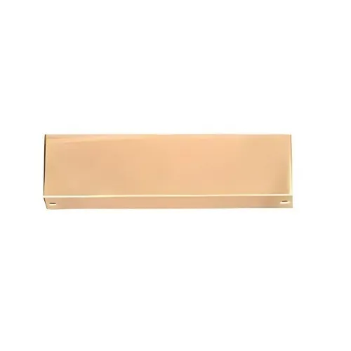 Alarm Controls DUC-1B 600S Magnetic Lock Dress Cover, Polished Brass