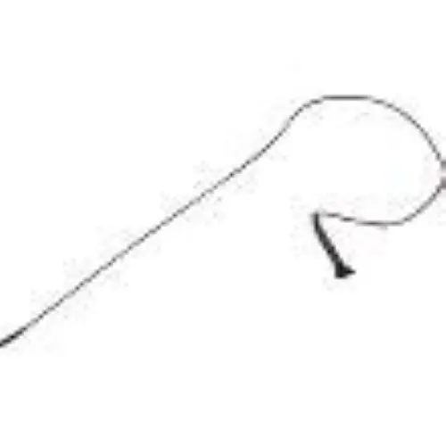 Countryman E6OW5L2SR For Audio 2000's Sennheiser Gemini Wireless Microphone System