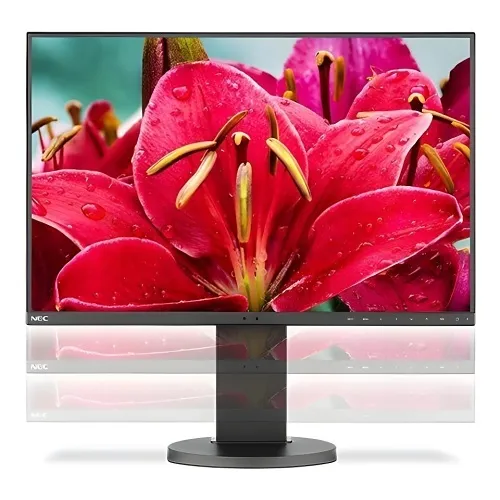 Sharp NEC EA245WMI-BK MULTISYNC EA245WMI Monitor, 24", Black