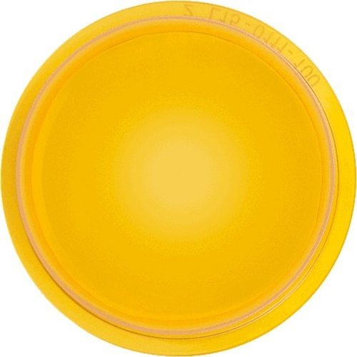 System Sensor LENS-AC2 L-Series Lens for any Indoor Ceiling Mountable Strobes, Amber, (Replaces LENSAC)