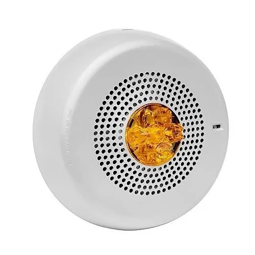 Image of WH-ELMTSWCNA