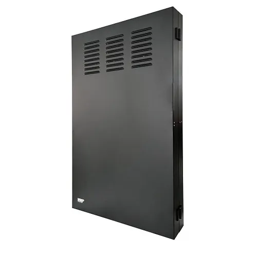 Image of V8-ERVWC2U36