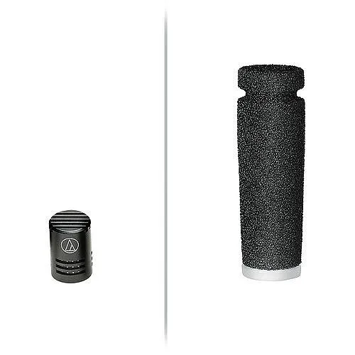 Audio-Technica ES925C6/XLR Gooseneck Microphone with XLR Power Module