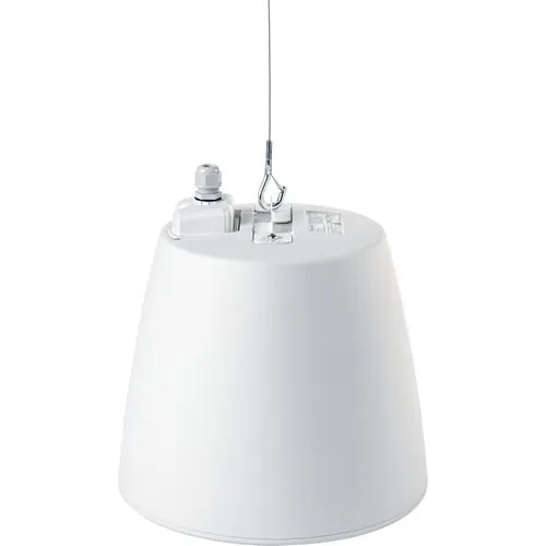Electro-Voice EVID-P6.2 6.5" 2-Way Indoor/Outdoor Pendant Mount Speaker, White