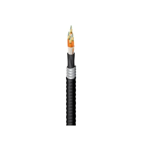 Belden FD1D024FJ Fiber Optic Cable